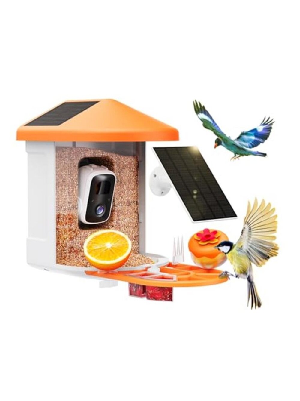New Bird Feeder with Camera with AI Identify Birds Species Solar Powered